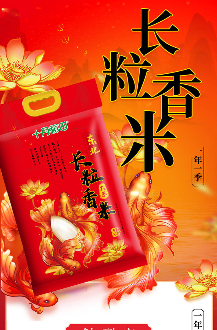 安享好物 安享D级粳米-十月稻田长粒香大米 国标