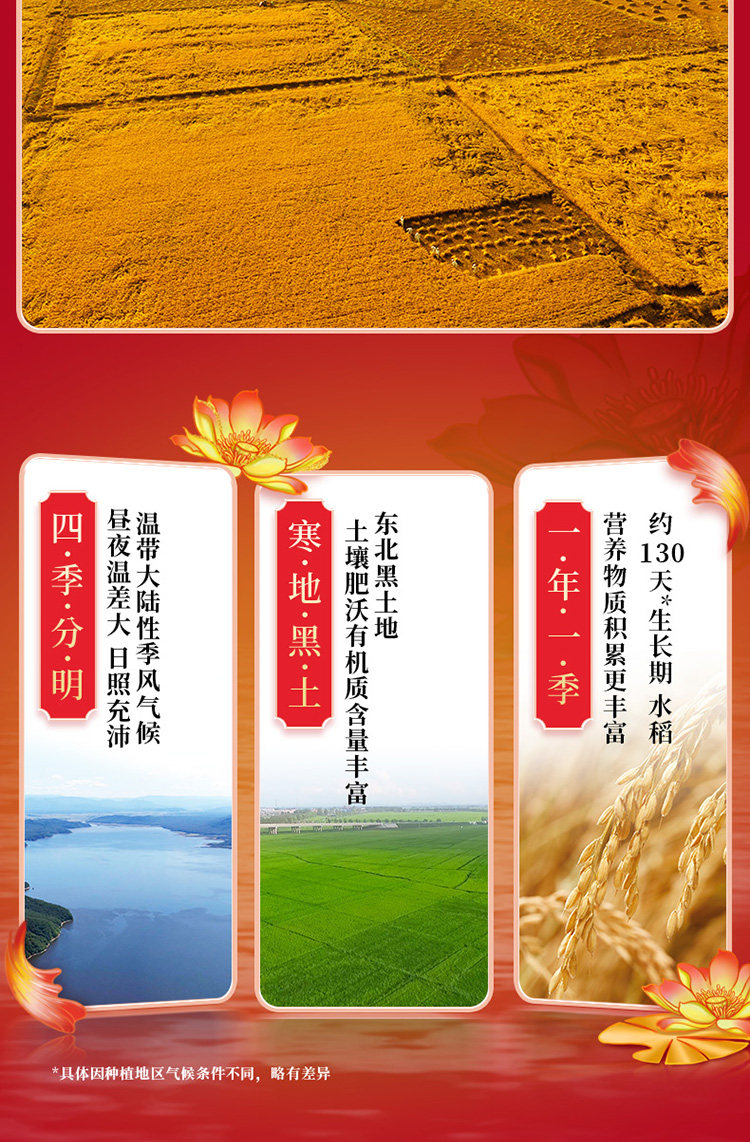 安享好物 安享D级粳米-十月稻田长粒香大米 国标