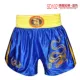 Sanda King Thêu Set Taekwondo Võ thuật Đào tạo Đàn ông và Phụ nữ Tập luyện Quyền anh Quần áo Sanda Fight Set
