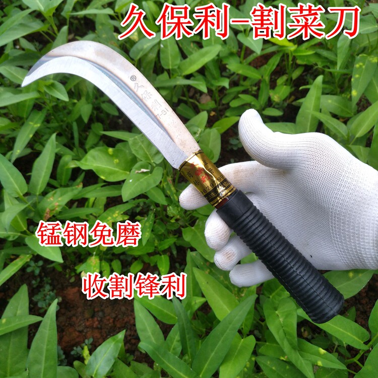 Usd 8 59 Small Sickle Cut Kitchen Knife Cut Vegetable Balcony Potted Vegetable Knife Dig Wild Vegetables Cutting Small Sickle Gardening Tool Wholesale From China Online Shopping Buy Asian Products Online