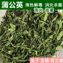 Drying Dandelion grass hay Pet Rabbit Rabbit grass Chinchilla Dutch pig Health grass Heat detoxification anti-inflammatory sterilization