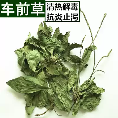 Drying plantain hay, heat, detoxification, anti-inflammatory, anti-diarrhea, rabbit Chinchilla, Dutch pig, Guinea pig, health grass