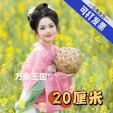 Плетеный натуральный школьный футбольный реквизит для фотографии, 20см