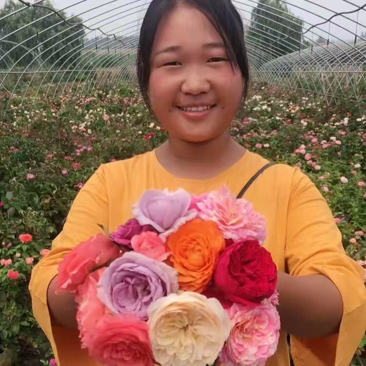 小寒花卉