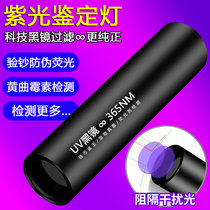 Aflatoxin detection pen Aflatoxin bacteria detection flashlight UV banknote detection Purple light Fluorescent agent pen
