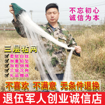 Veteran white silk fishing net hanging net mesh fishing net single-layer floating net three-layer sunken net crucian carp silver carp white strip net