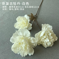 Светло-зеленый новый древний пион (белый)