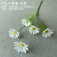 Верблюда Дейзи (белый)