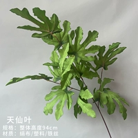 Тяносийские листья (зеленый)