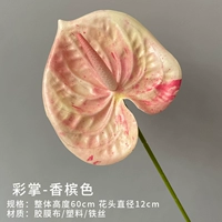 4#шампанское