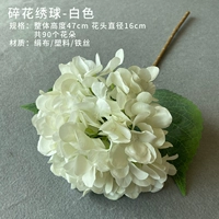 Молочная белая гортеня (белая)