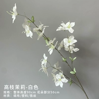 Высокоразветвленная жасмин (белый)