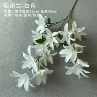 Бордовый, белый