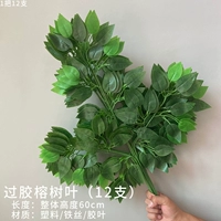 Желтые листья банья (зеленый)