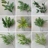 Свадьба в лесном стиле, имитация свадьбы в зеленом стиле, листья эвкалипта с искусственной травой, зеленые листья растений, яблоко 𬞟Украшение фруктовыми листьями, цветочная композиция