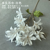 Темно-коричневая многоголова лилия (белая)