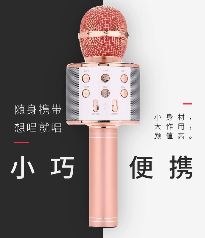 Quốc gia karaoke tạo tác micro điện thoại di động phổ không dây Bluetooth micro nhà hát âm thanh một