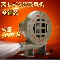 Double-sided sea cast iron high-power arch air mold blower Industrial stove small fan Household 220V
