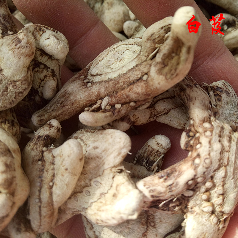  Kangyuan Chinese herbal medicine white bletilla white and wild tripods bletilla white chicken (selected) 500g-Taobao