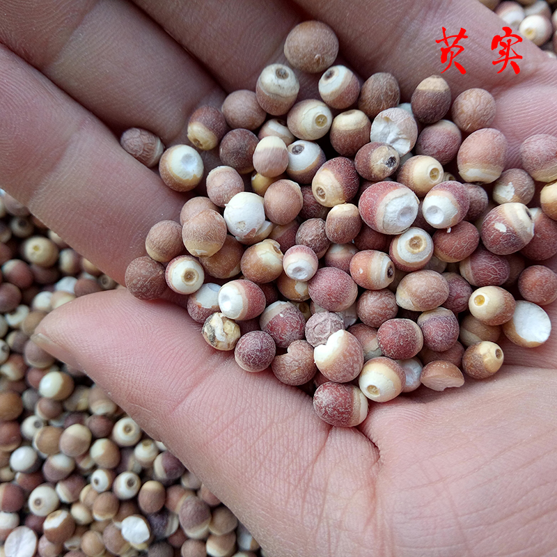 Shiyao Yuefang Chinese mainland Chinese mainland China's Kangyuan Traditional Chinese Medicine Ingredients Gorgon rice Chicken Head Small Elects 500g-Taobao