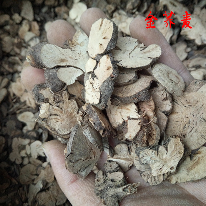 Kangyuan Chinese mainland Other edible agricultural products Dwarf Lilyturf Chinese Herbal Medicine Golden Buckwheat 500g-Taobao