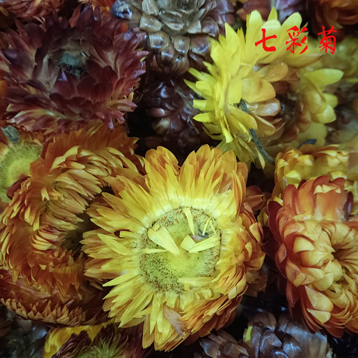 Kangyuan Mainland China Other Dwarf Lilyturf Chinese Herbal Medicine Flowers Tea Seven Polychrome Chrysanthemum 500g-Taobao 500g-Taobao