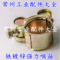 Galvanized strong hose clamp 19 22 25 28 31 35 39 43 47 51 55 59 63 67 clamp