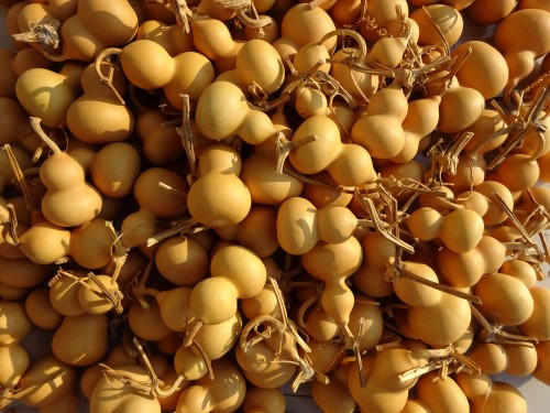 Natural little plinth to play the text with little American hyacinth small coarse waist sub-waist gourd small hand twisted gourd 