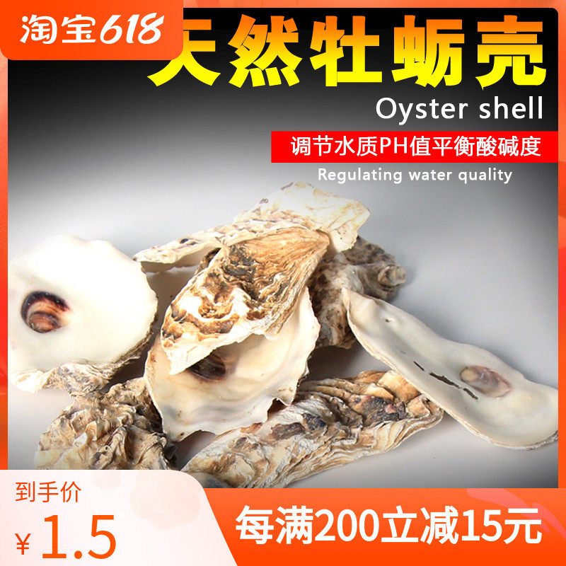 Oyster Shell Oyster Shell Fish Pond Natural Filter Material (special filter for brocade carp pool) stable PH value increase of calcium