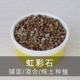 Monroe Garden Succulents Đất dinh dưỡng Đan Mạch Nhập khẩu than bùn Đất đá ngọc trai Nguồn cung cấp làm vườn bình xịt nước tưới cây