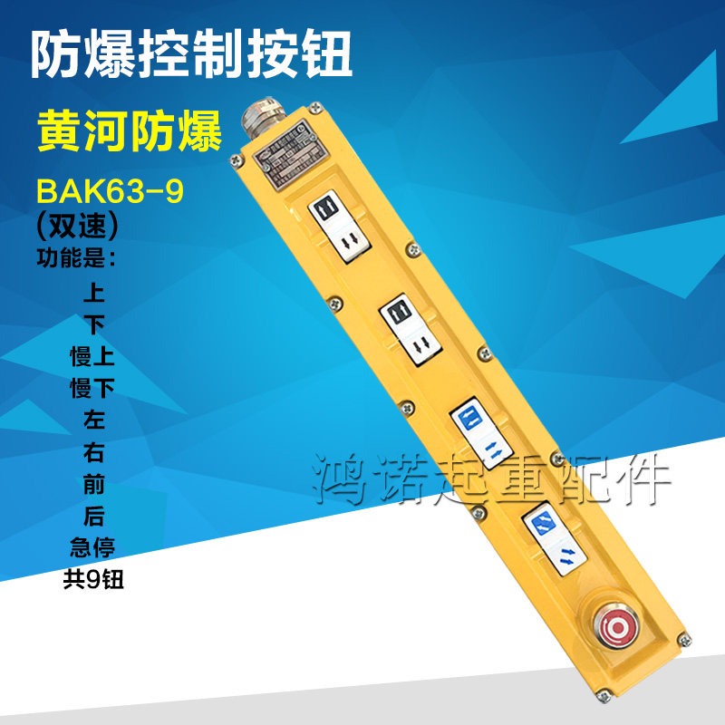Electric crane explosion protection handle switch Yellow River explosion protection BAK63-9 button double speed crane explosion protection control button