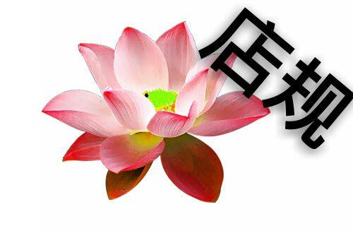 Accessoire cheveux - Ref 1205037 Image 11