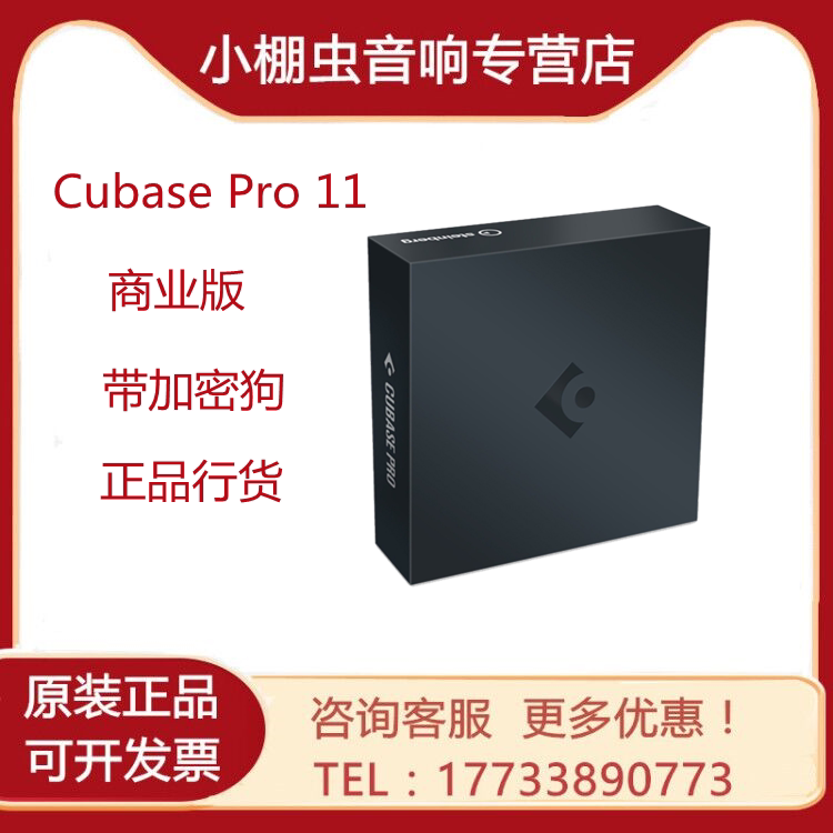 Genuine Cubase11 Pro choreography remix Music Production Software Business Edition Line Education Edition 