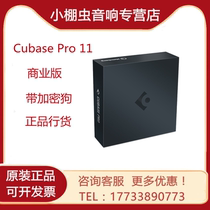Genuine Cubase11 Pro music mixing music production software commercial version