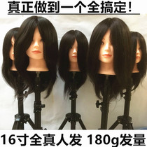 Hairdressing headform Full real hair model headform hot dye blowing modeling dummy head Real hair doll headform bracket