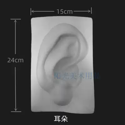 Single solid facial features, ears, plaster, model, eyes, nose, mouth, pendants, art, still life