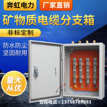 Minerals Insulation Case Copper Bar box JXT1 Cable T-box conversion box Cable wiring terminal Branch Box