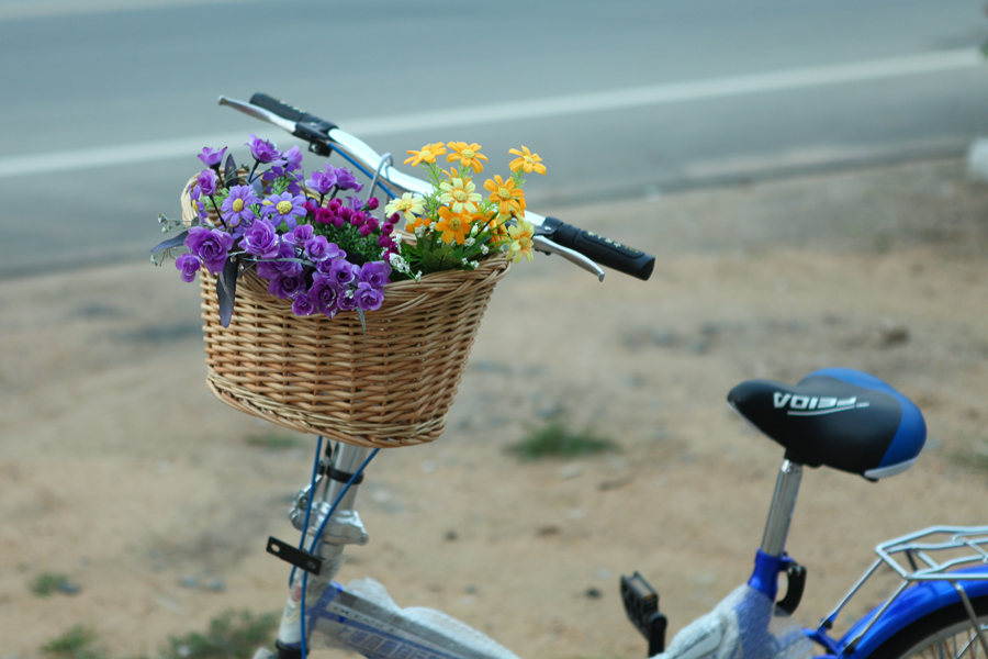 Panier pour vélo en vigne - Ref 2257187 Image 9