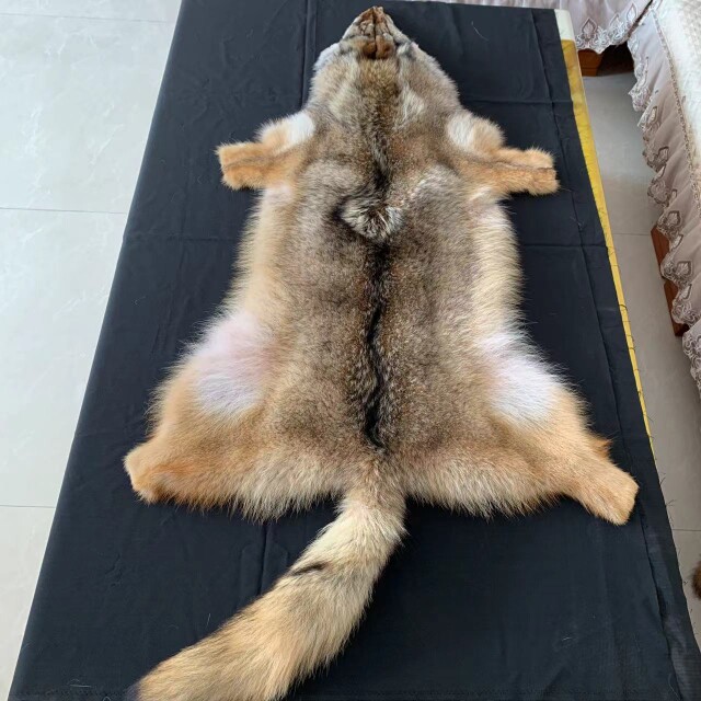 包容天下皮草