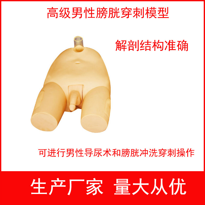 高级男性膀胱穿刺模型 高级女性膀胱穿刺模型 反复多次穿刺训练