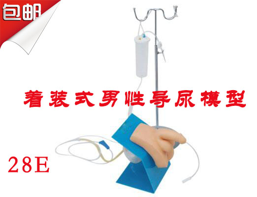 男性着装式导尿模型 导尿训练模型 导尿模型 医学教学模型
