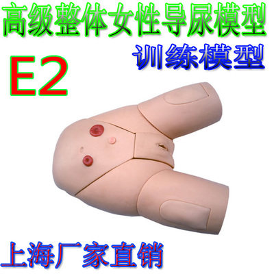 女导尿训练教学医学模型 医院培训模型 高级整体女性导尿模型
