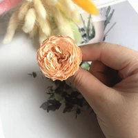 Светло -оранжевый