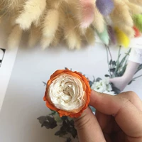 Оранжевый белый