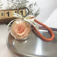 Pink Orange 5cm Special Price Model