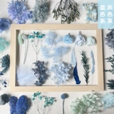 Вечная жизнь цветок материал DIY Синий серый дисплей с голубой розовой головкой