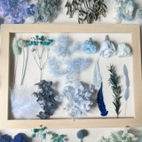 Вечная жизнь цветок материал DIY Синий серый дисплей с голубой розовой головкой