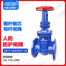 Z41T-16 cast iron civil air defense protection copper core copper rod open rod flange gate valve DN65801001250150200