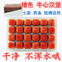  High-quality colorful angelfish feed fish food Frozen beef heart burger Arhat fortune ornamental fish food