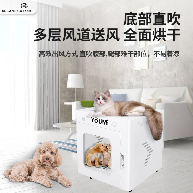 Yo-yo Pet Drying Box Cat dryer Puppy dryer Puppy blowers Large canine blowers Mute deity muted